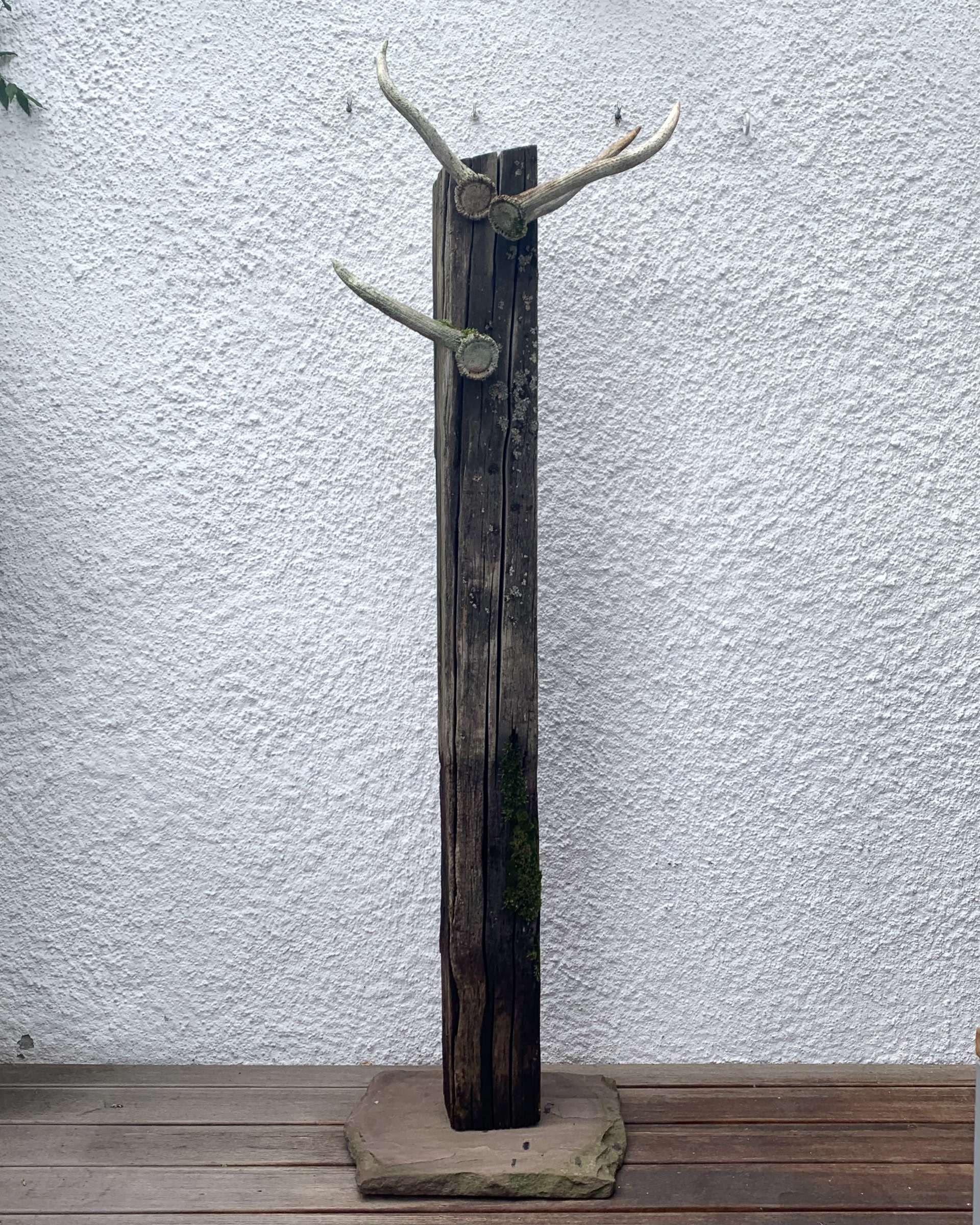 Hirschrobe