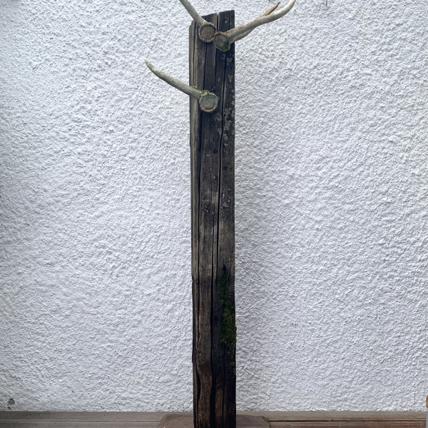 Vorschau für Hirschrobe