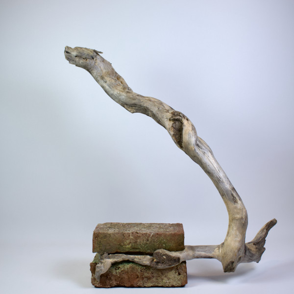 Vorschau für Aktive Melancholie*