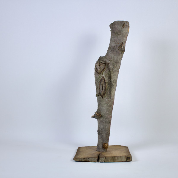 Vorschau für Alte Wunden*