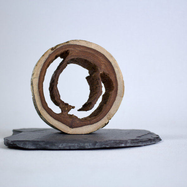 Vorschau für Ameisenkunst 1