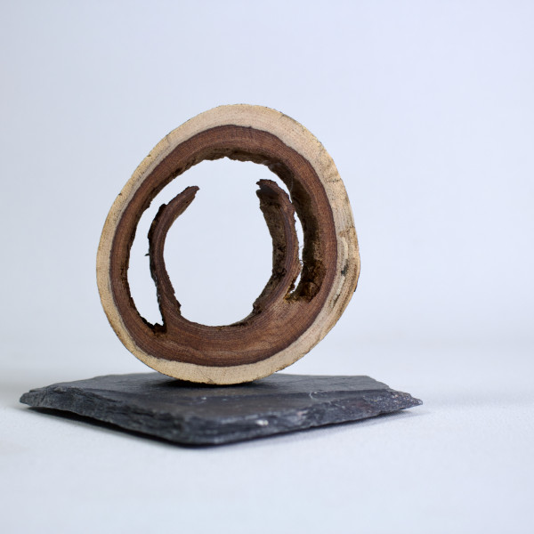 Vorschau für Ameisenkunst 2