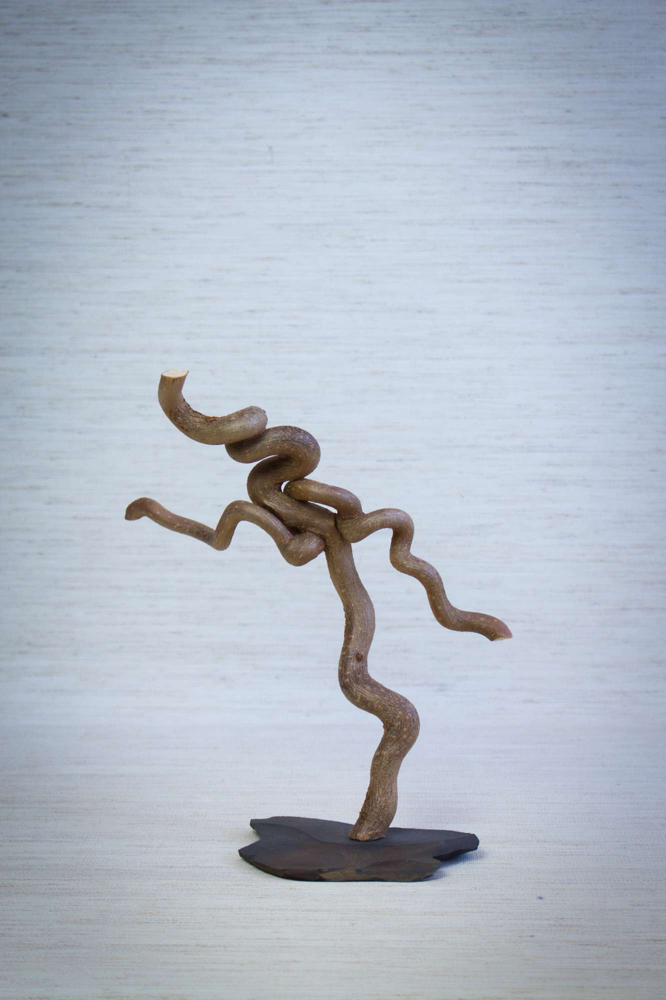 Ballerina*