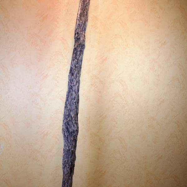 Vorschau für Da ist der Wurm drin*