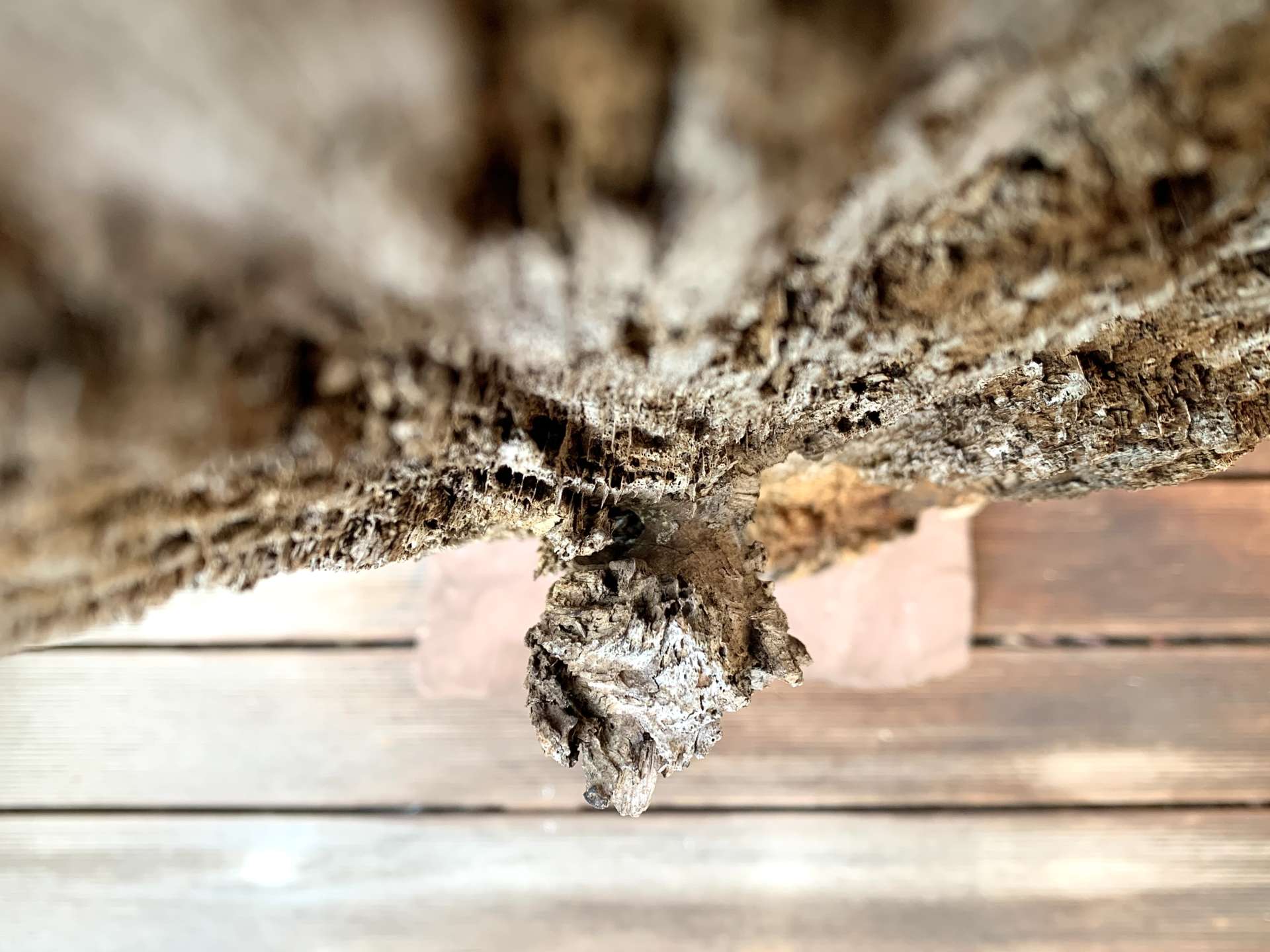 &bdquo;Der kann weg!&ldquo;*