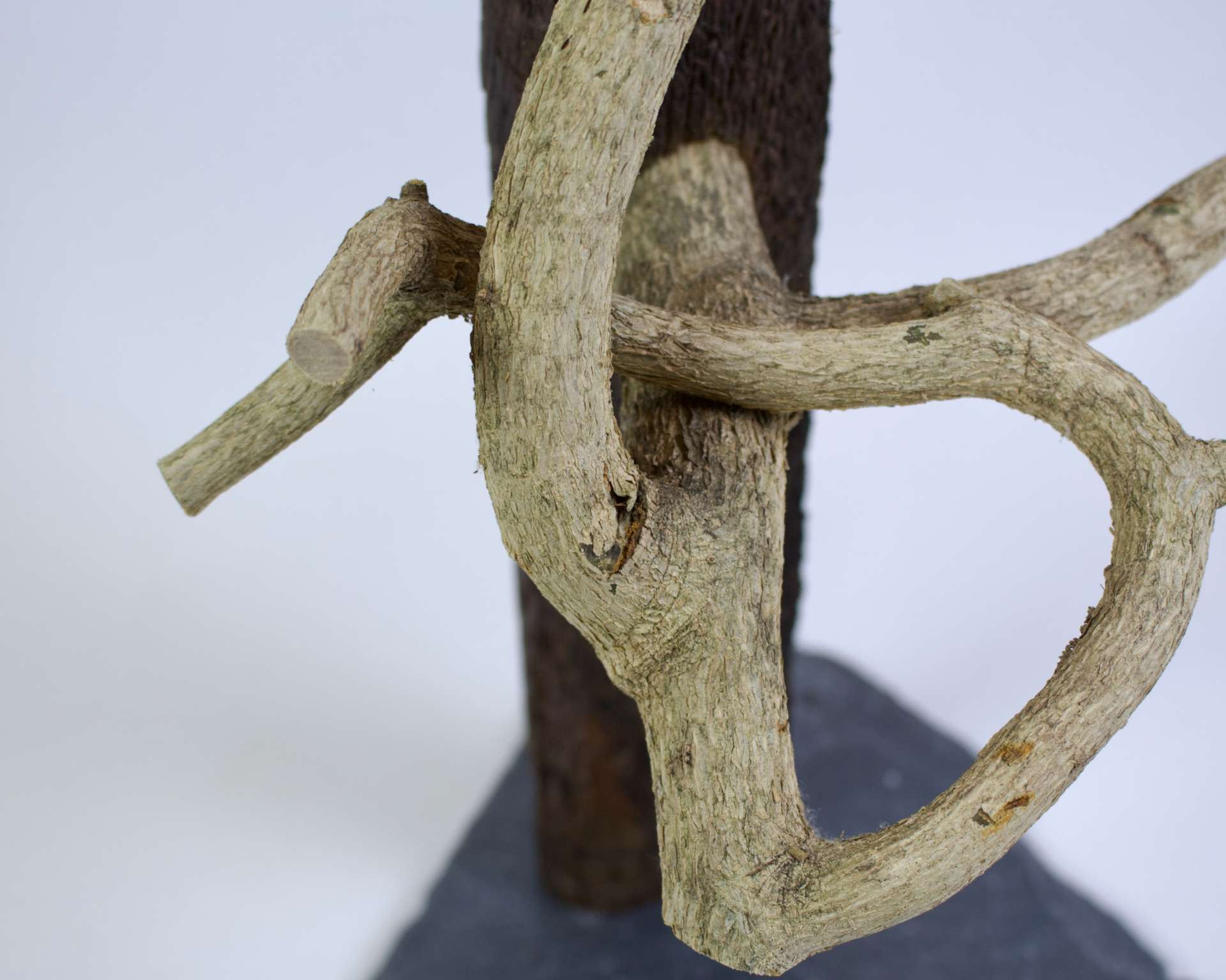 Der seinen Weg findet*