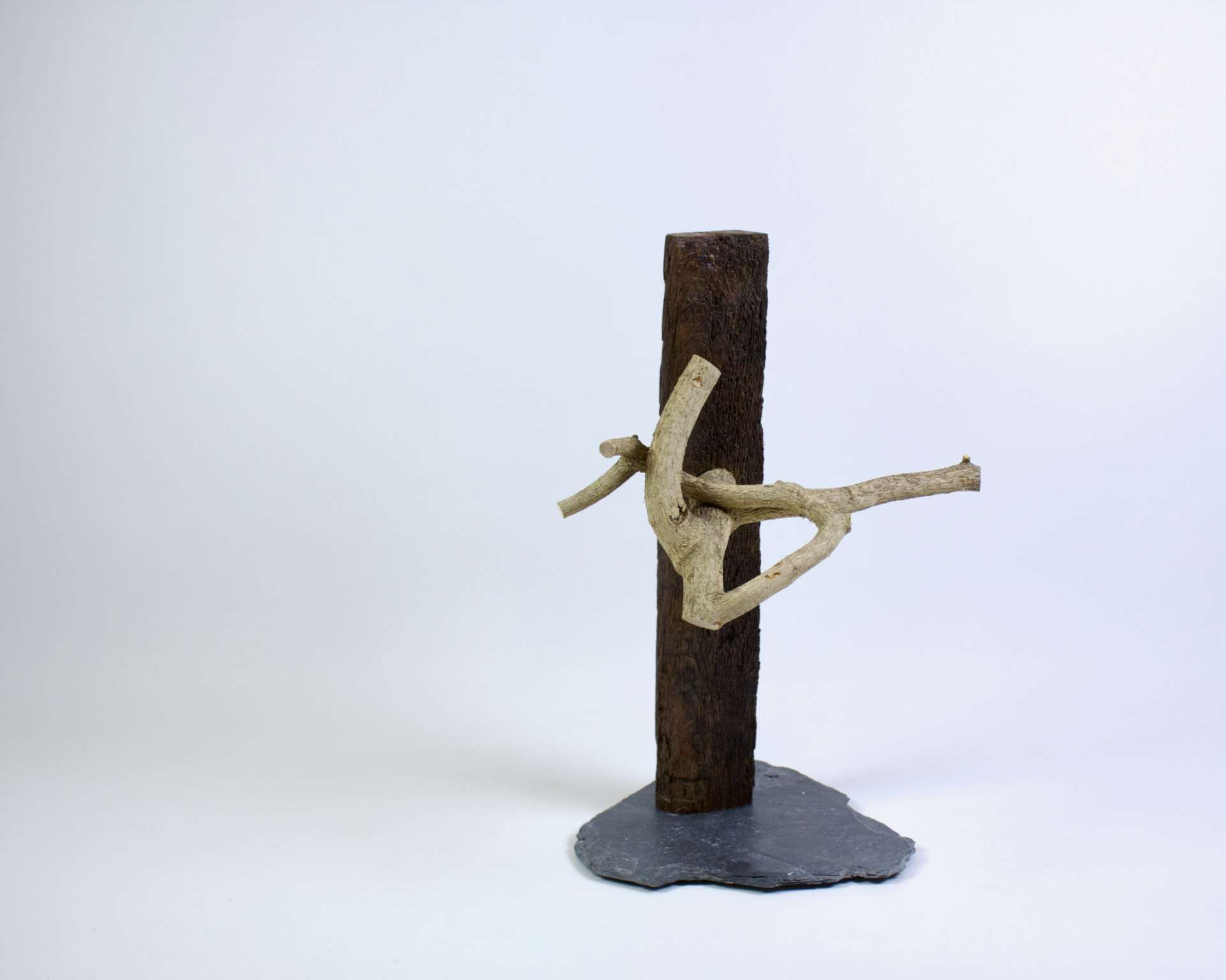 Der seinen Weg findet*