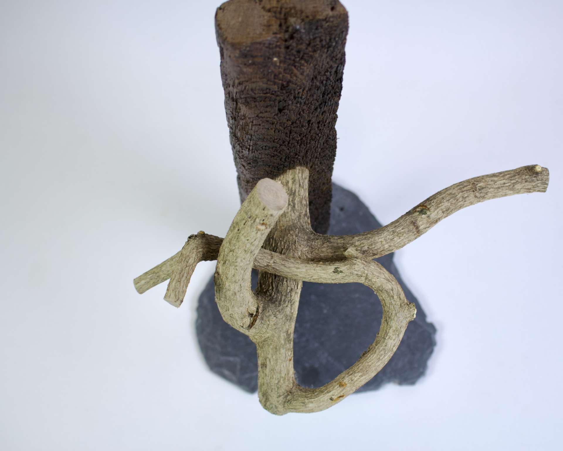 Der seinen Weg findet*