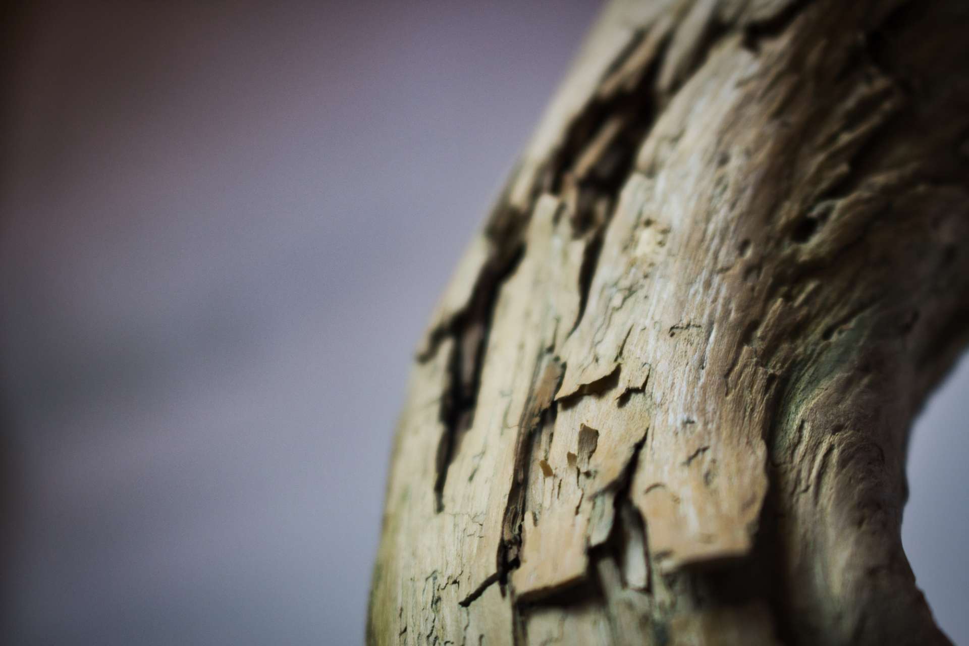 Doch das Leben geht weiter*