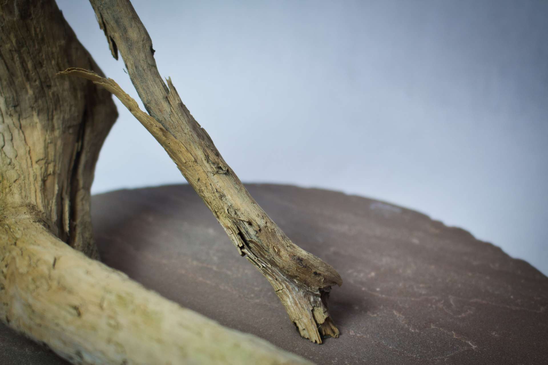 Doch das Leben geht weiter*