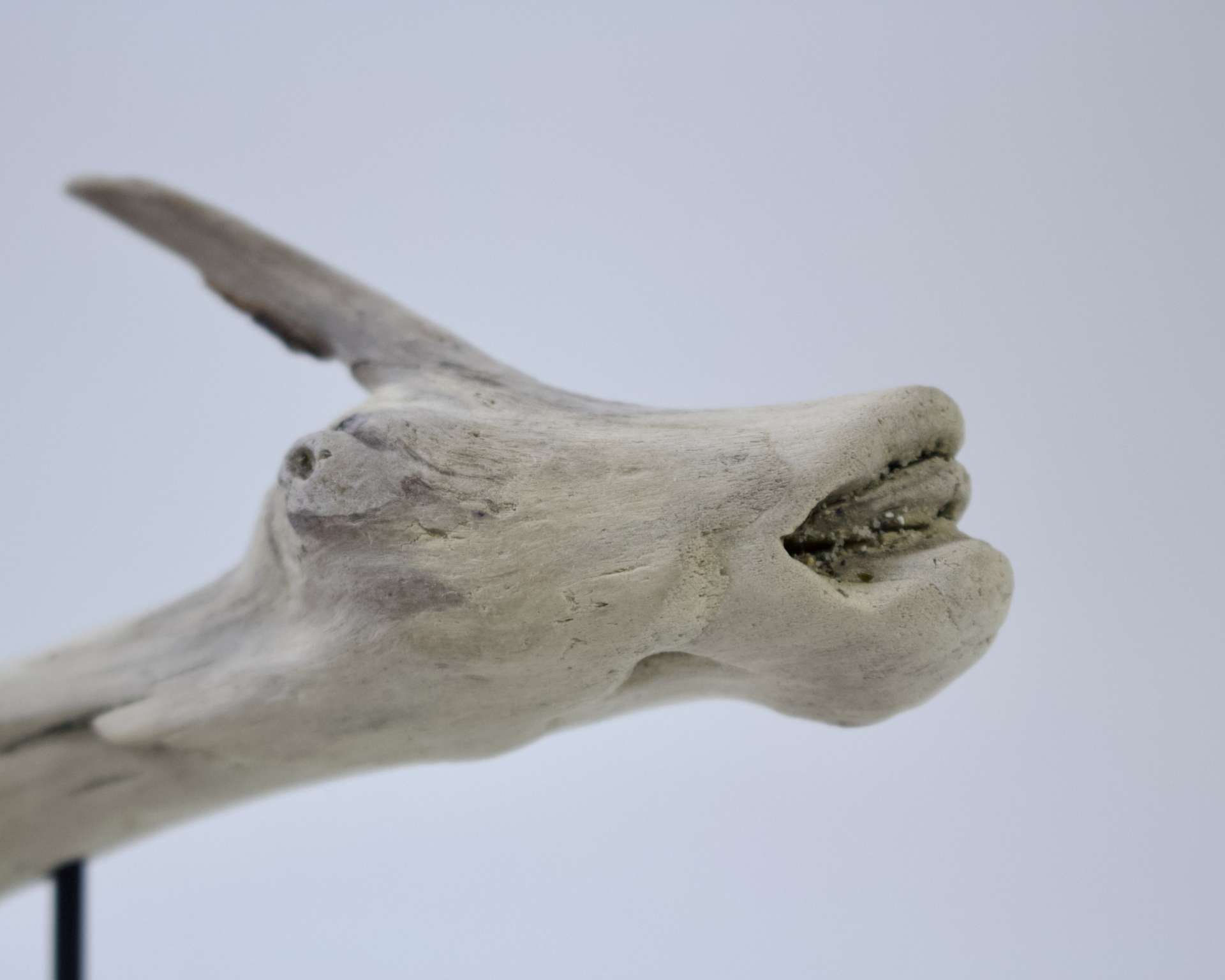Einhorn