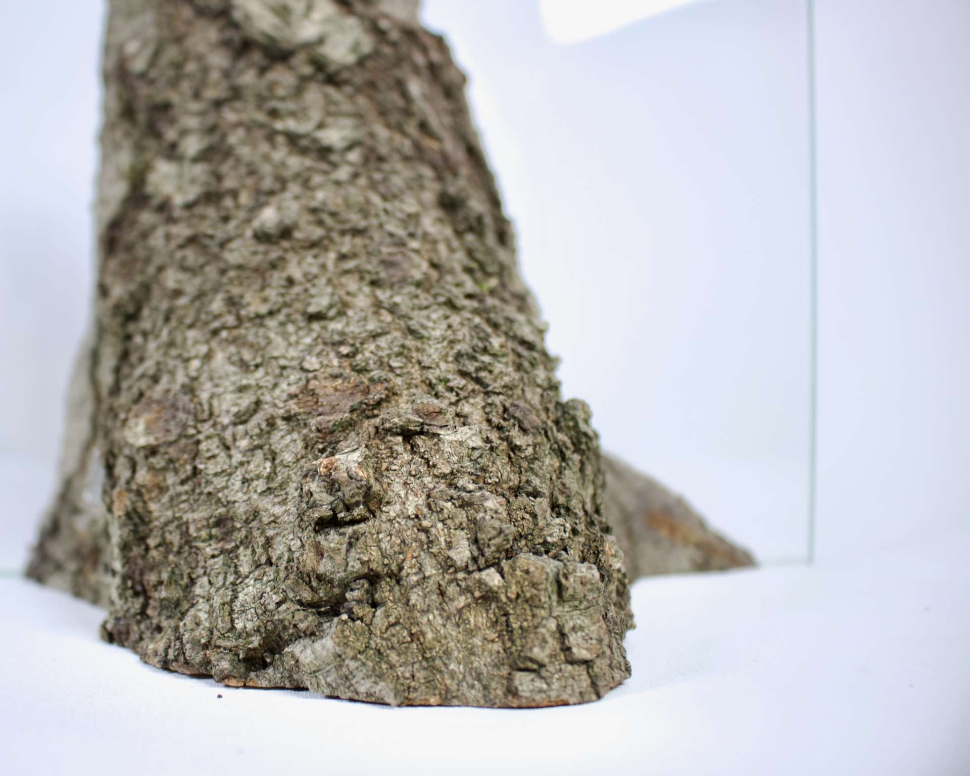 Fragile Stabilit&auml;t*