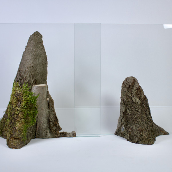 Vorschau für Fragile Stabilit&auml;t*