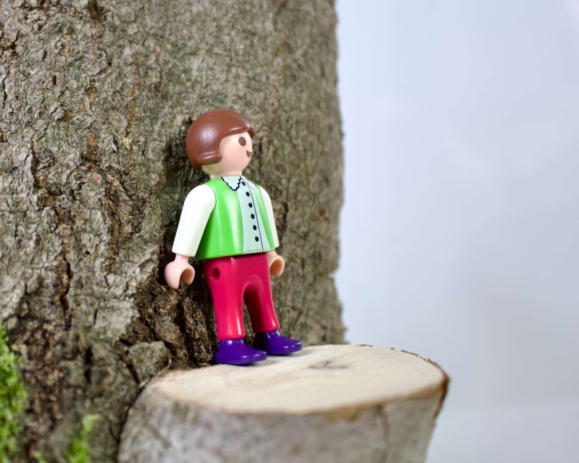 Fragile Stabilit&auml;t*