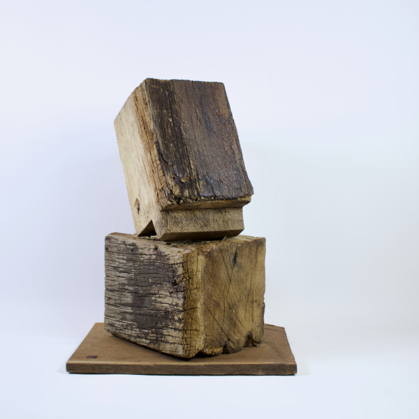 Vorschau für Friedrich*