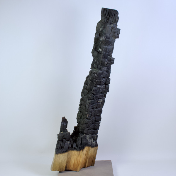 Vorschau für Grenz-&Uuml;berschreitung*