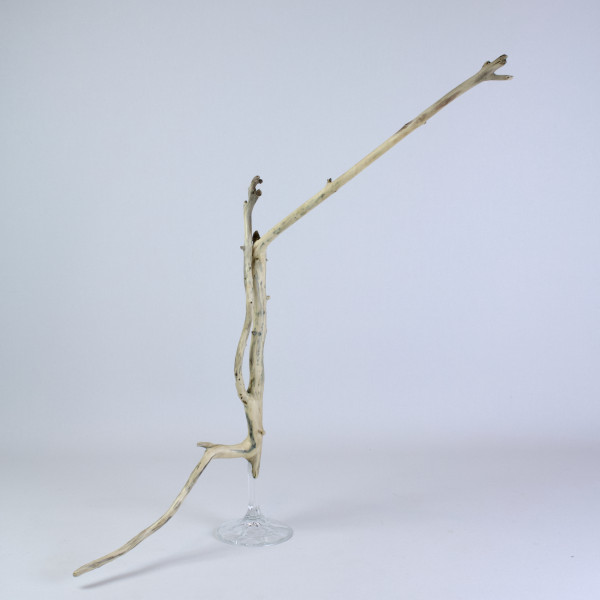 Vorschau für Hiddensee