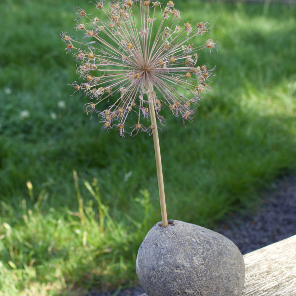 Vorschau für Hohle