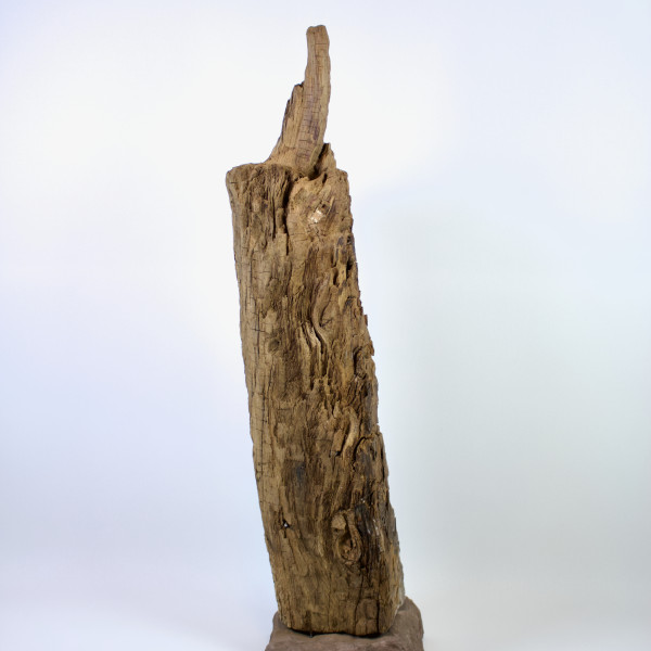 Vorschau für One Way*