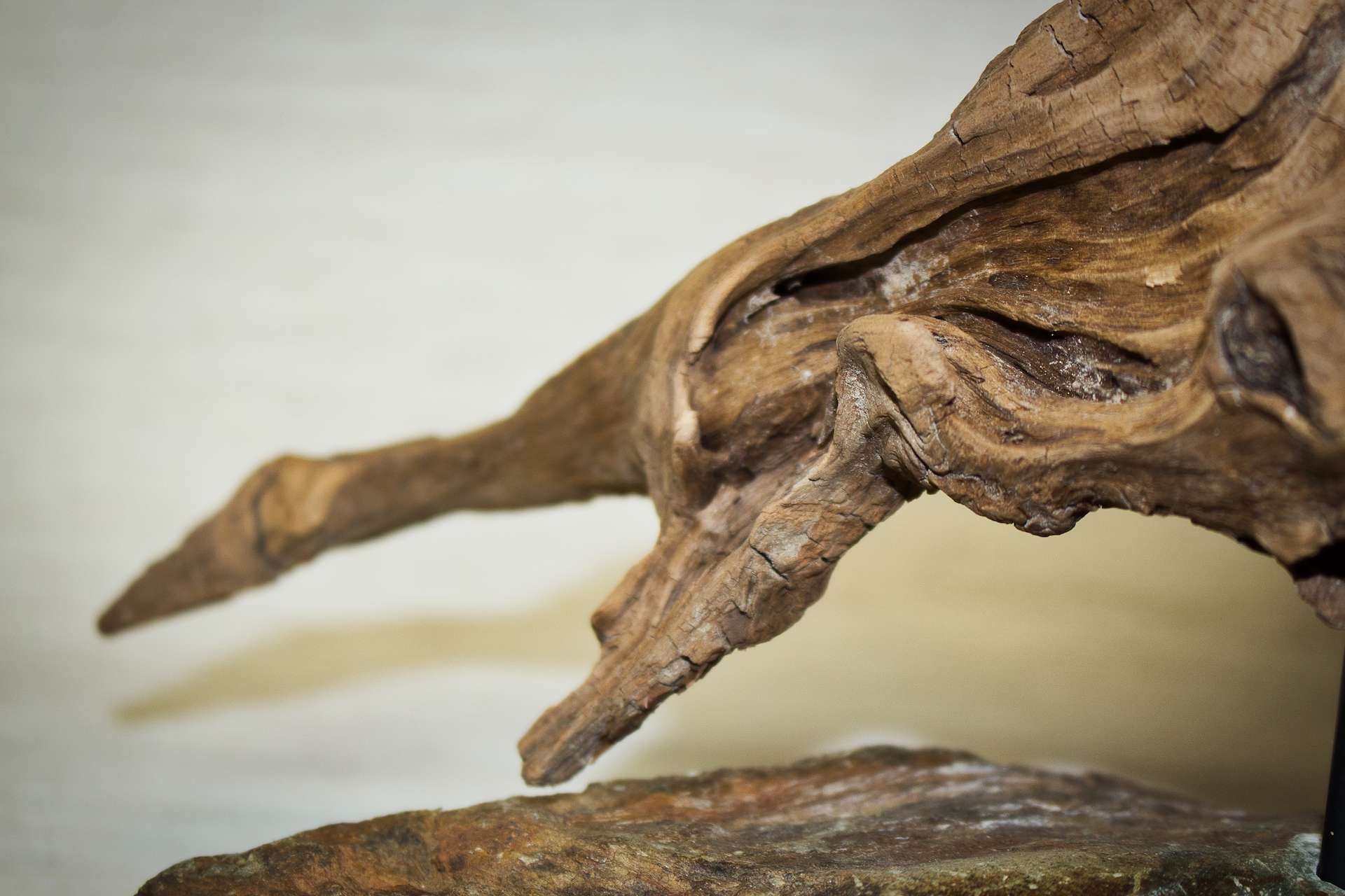 Schwingendes Tanzbein