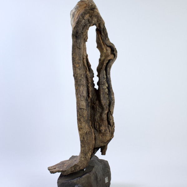 Vorschau für &Uuml;berwallt