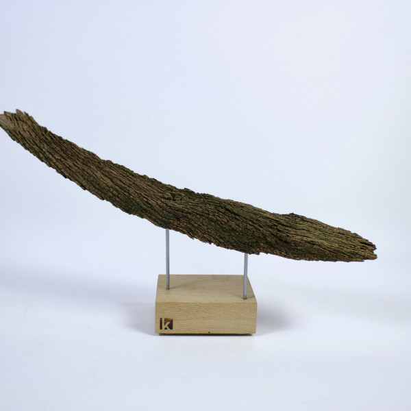 Vorschau für Wasb&uuml;ttel 1713