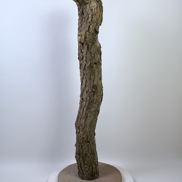 Vorschau für &bdquo;Zeig mir deine Wunden&ldquo; &ndash; Ehrlich*