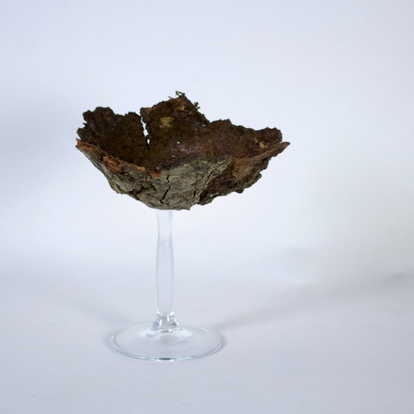 Vorschau für Zerbrechlich und wundersch&ouml;n*