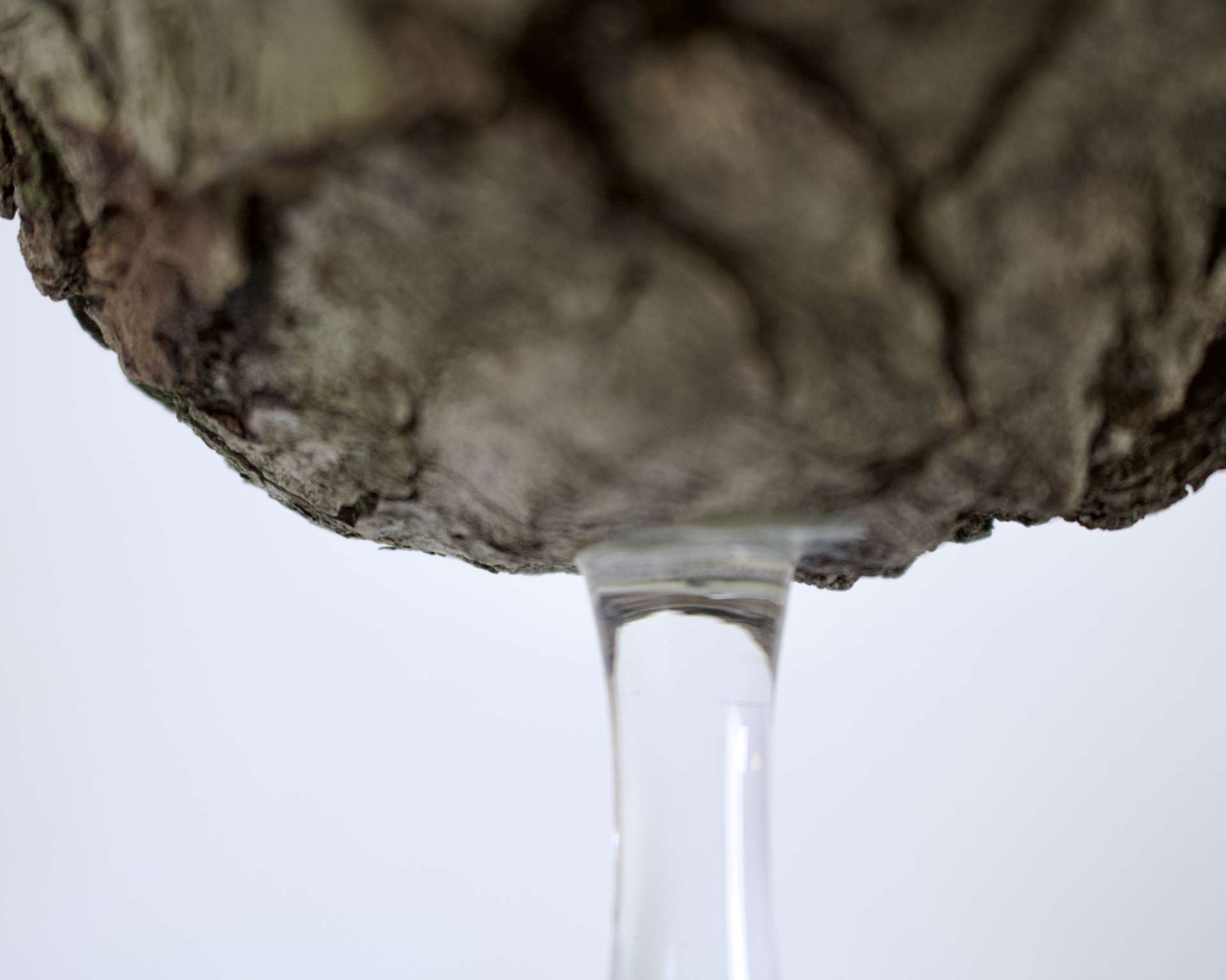 Zerbrechlich und wundersch&ouml;n*