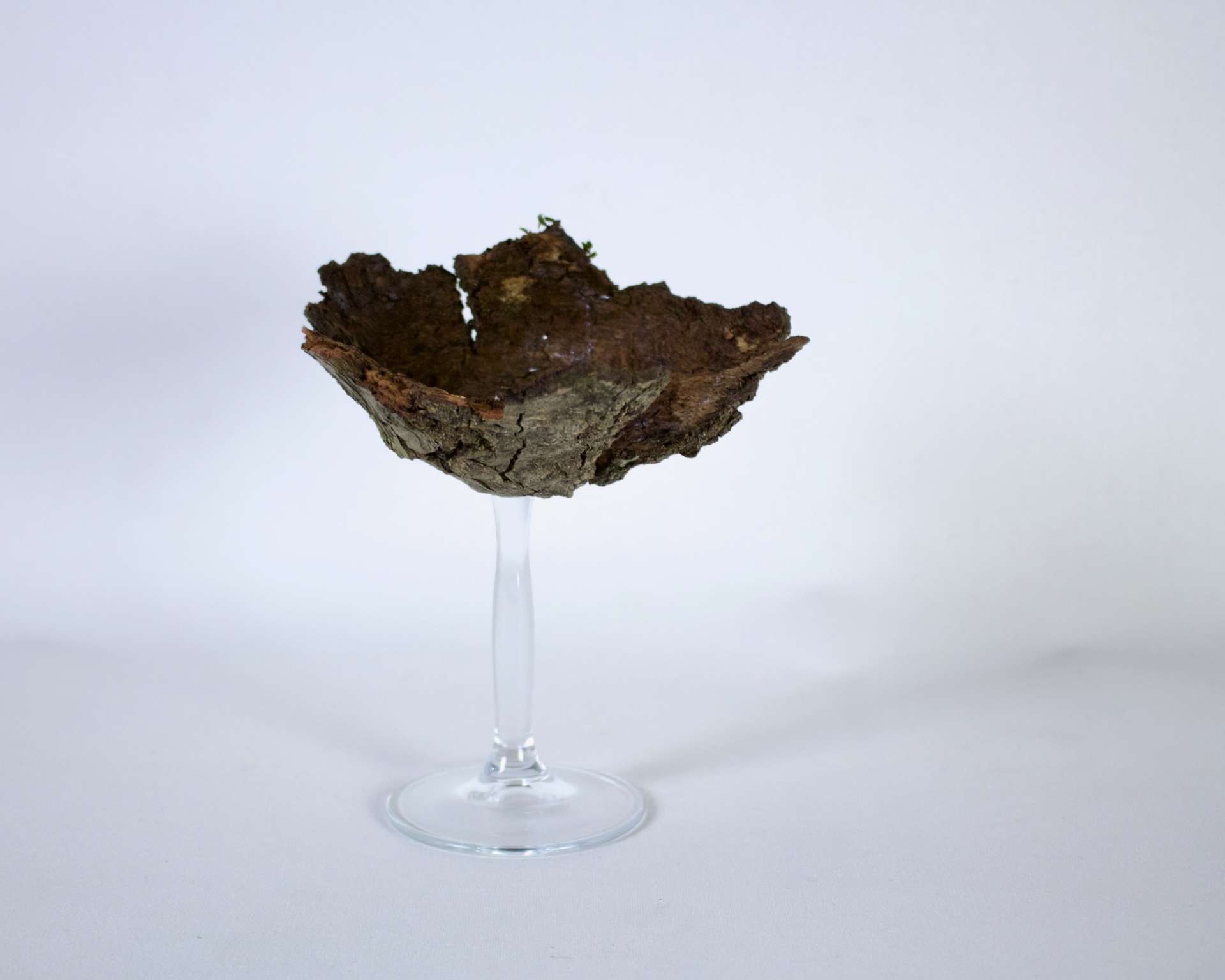 Zerbrechlich und wundersch&ouml;n*