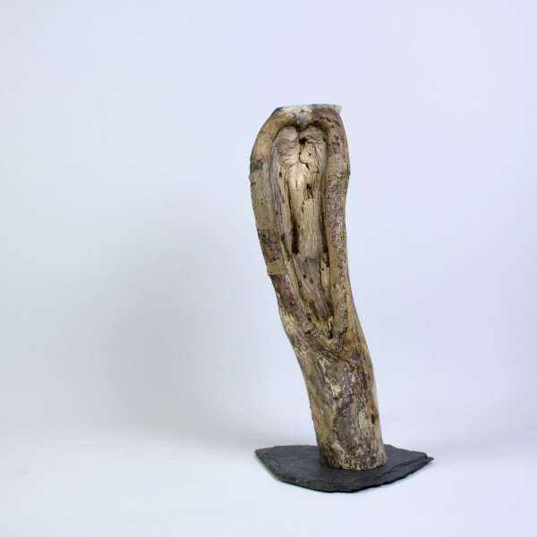 Vorschau für Zuwendung im Erbsenstrauch*