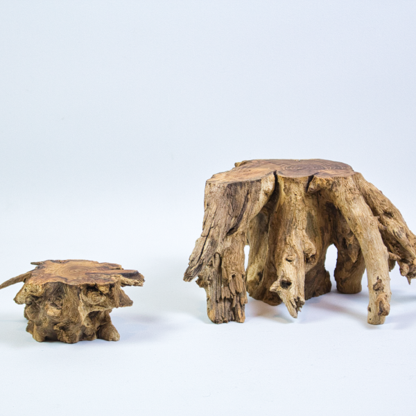 Vorschau für Ahlener Duo