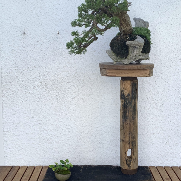 Vorschau für Auf Augenh&ouml;he