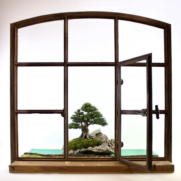 Vorschau für Durch&acute;s Fenster geschaut