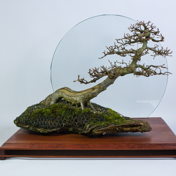 Vorschau für Glasklar