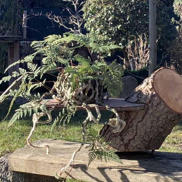 Vorschau für Nachbarschaft